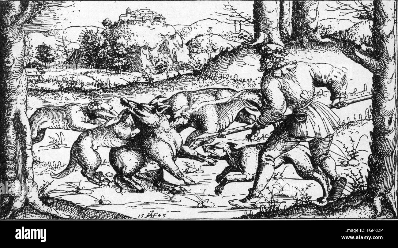 Jagd, Wildschweine, Wildschweinjagd, Rudel und Jäger mit Blick auf ein Wildschwein, Radierung von Augustin Hirschvogel (1503 - 1553), 1545, Zusatz-Rechteklärung-nicht verfügbar Stockfoto