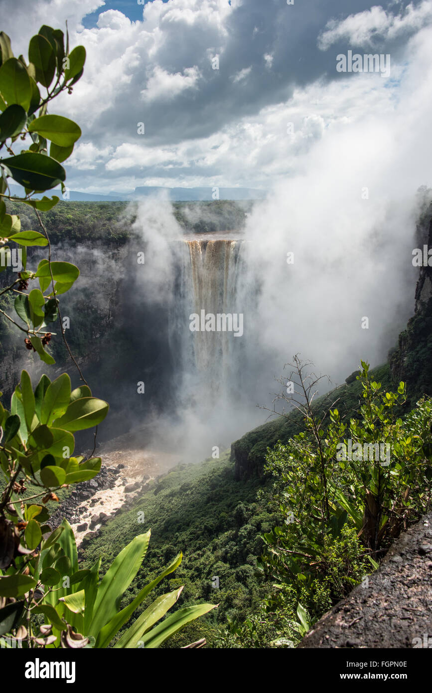 Kaieteur Falls, Potaro River, Guyana, Südamerika Stockfotografie Alamy
