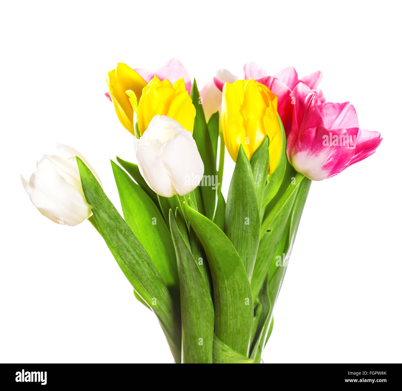 Bündel von Frühling Tulpen Blumen in Metall Topf auf weißem Hintergrund. Ein Blumenstrauß für den 8. März, oder zum Valentinstag Stockfoto