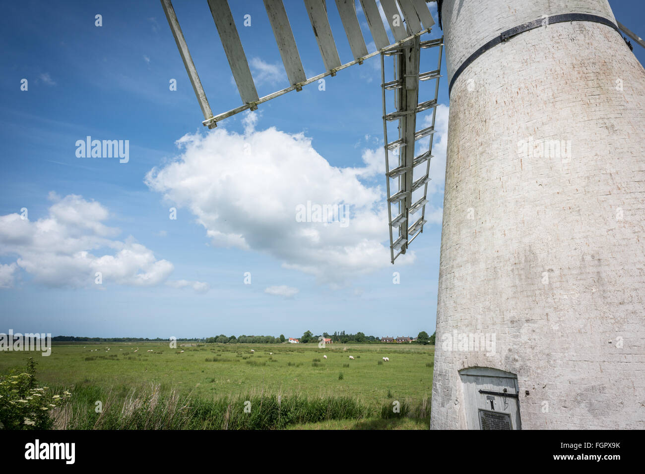 Die Windmühle am Thurne, Norfolk Stockfoto