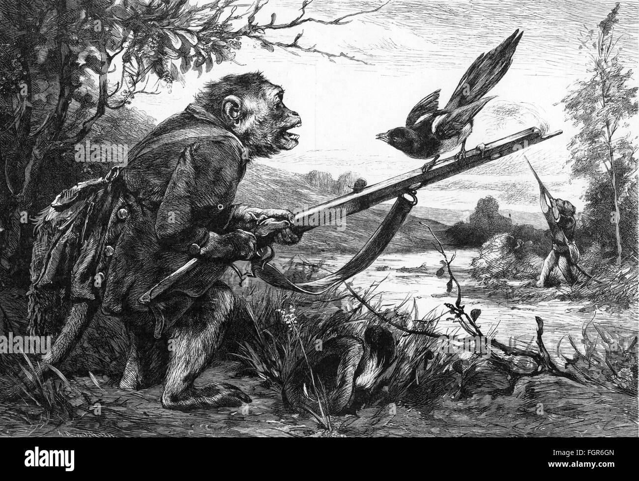 Jagd, Satire, Affen als Jäger, 'um irren ist Mensch', Holzstich aus der Serie 'Consirted World' von Paul Meyerheim, 1889, Zusatz-Rights-Clearences-nicht verfügbar Stockfoto