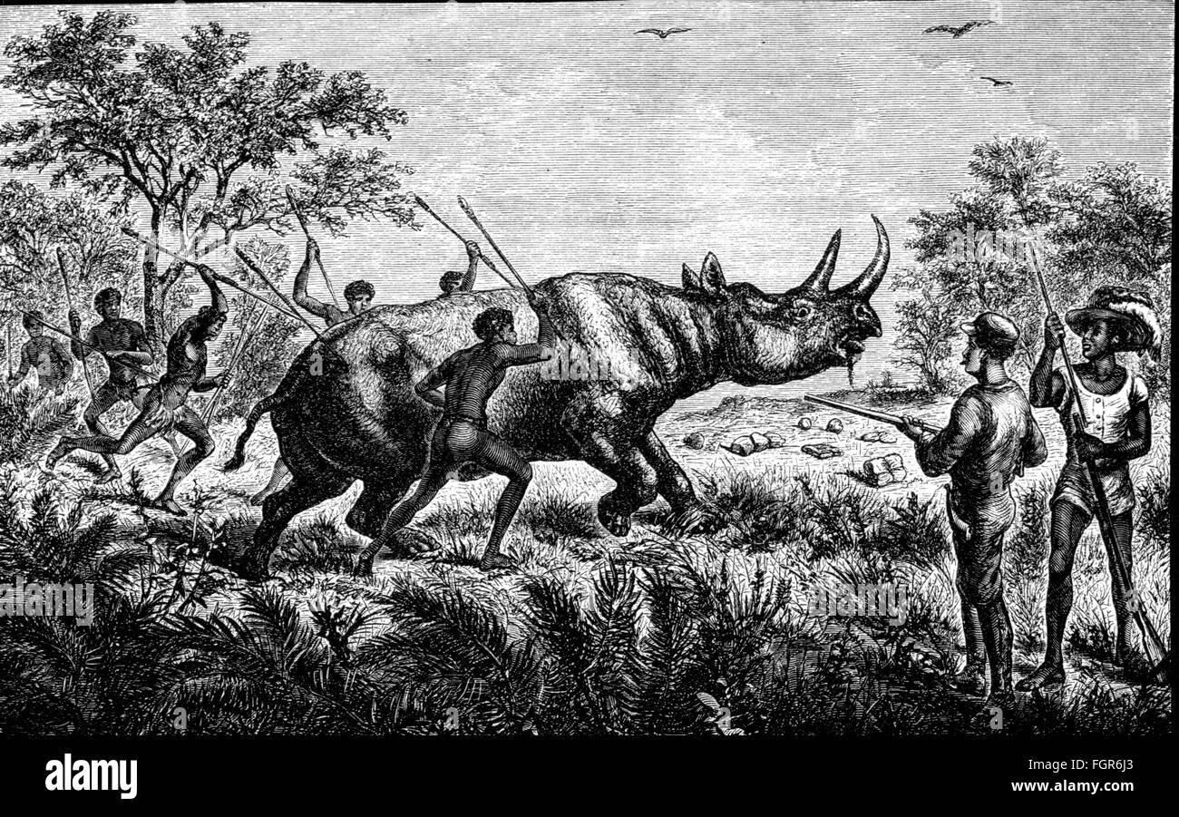 Jagd, Nashorn, Nashornjagd in Afrika, Holzstich, 2. Hälfte 19. Jahrhundert, Menschen, Jäger, Jäger, Jagd, Safari, Europäer, Schwarzafrika, Afrikaner, Jagd, Jagd, Nashorn, Nashorn, Nashorn, Nashorn, Nashorn, historisch, historisch, Zusatzrechte-Clearences-nicht verfügbar Stockfoto