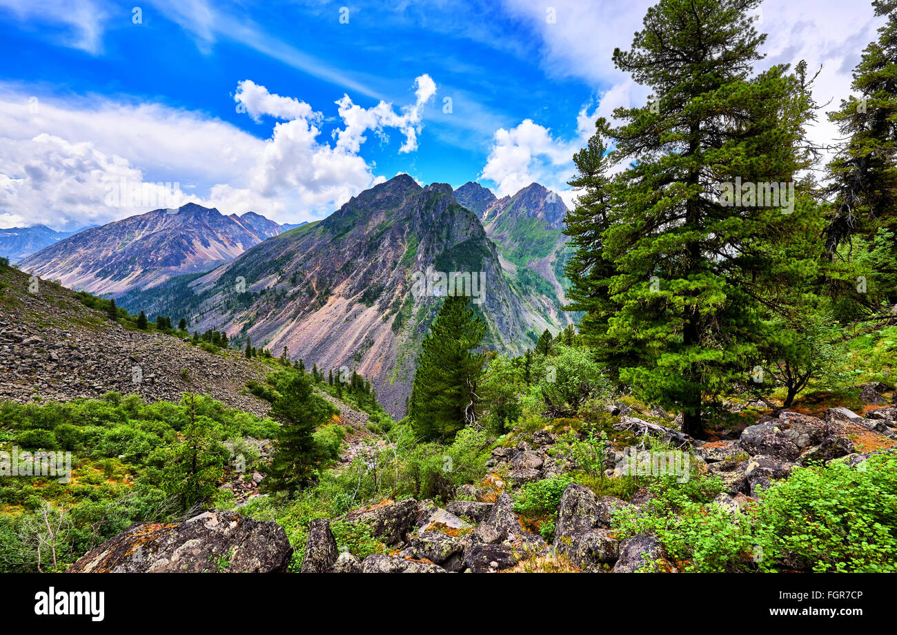 Fantastische Landschaft in sibirischen Bergen. Bäume im Hochland. Östlichen Sayan. Stockfoto