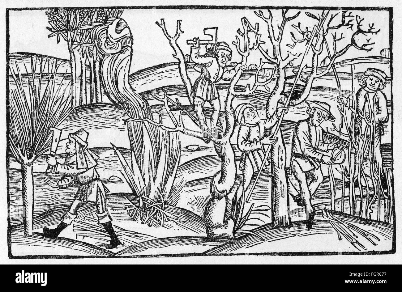 Landwirtschaft, Menschen bei der Arbeit, Forstwirtschaft, Holzschnitt, aus: Publius Vergilius Maro (70 - 19 v. Chr.), 'Opera', Herausgeber: Sebastian Brent, Druck: Hans Grüninger, Straßburg, 1502, Additional-Rights-Clearences-not available Stockfoto