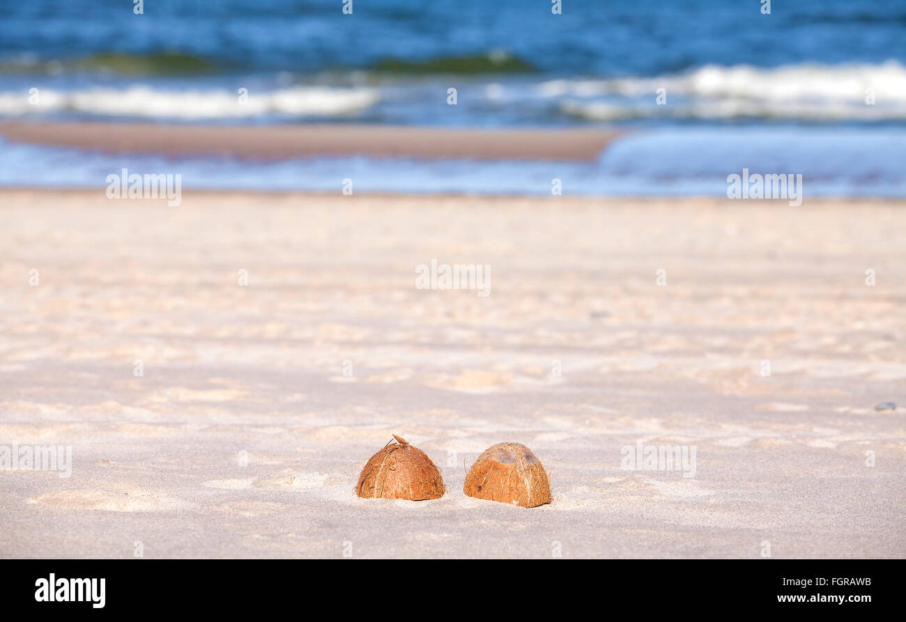 Kokosnuss-Hälften an einem Strand, Natur Hintergrund. Stockfoto