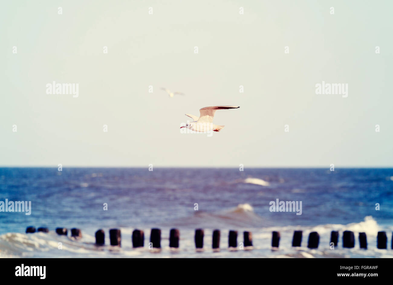 Vintage stilisierte Vögel fliegen über das Meer, geringe Schärfentiefe. Stockfoto