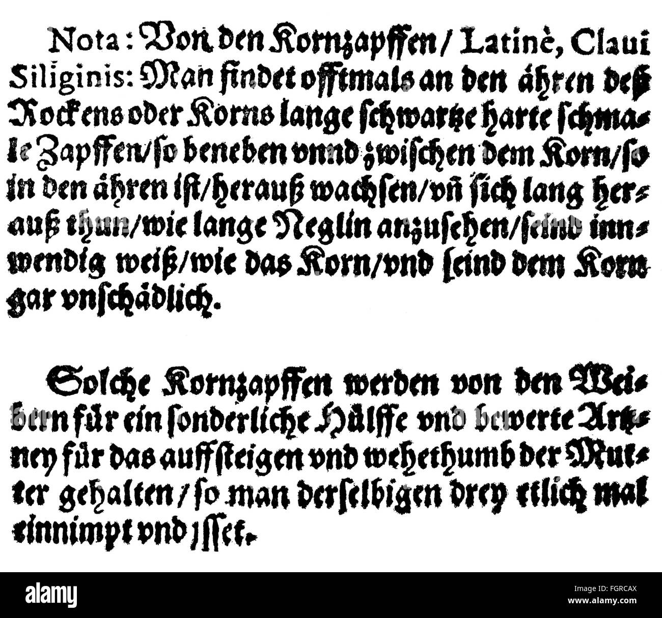 Medizin, Gift, Erstbezennung von Ergot, aus: Adam Lonicer (1528 - 1586), 'Kreuterbuch', Frankfurt, 1582, Zusatzrechte-Clearenzen-nicht vorhanden Stockfoto
