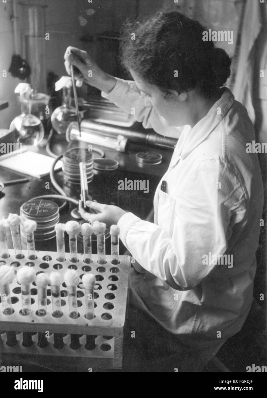 Medizin, Labor, Laborassistent zur Überprüfung von Blutserum, das aus Pferden gewonnen wurde, 1940, Additional-Rights-Clearences-not available Stockfoto