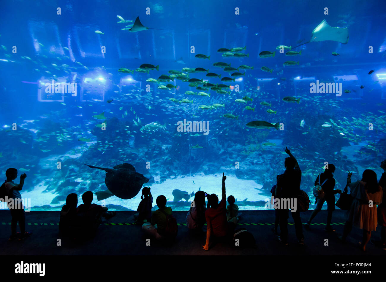 Besucher dieser Seite von Meereslebewesen in den offenen Ozean Lebensraum Tank an die S.E.A Aquarium, Sentosa Island, Singapur Stockfoto