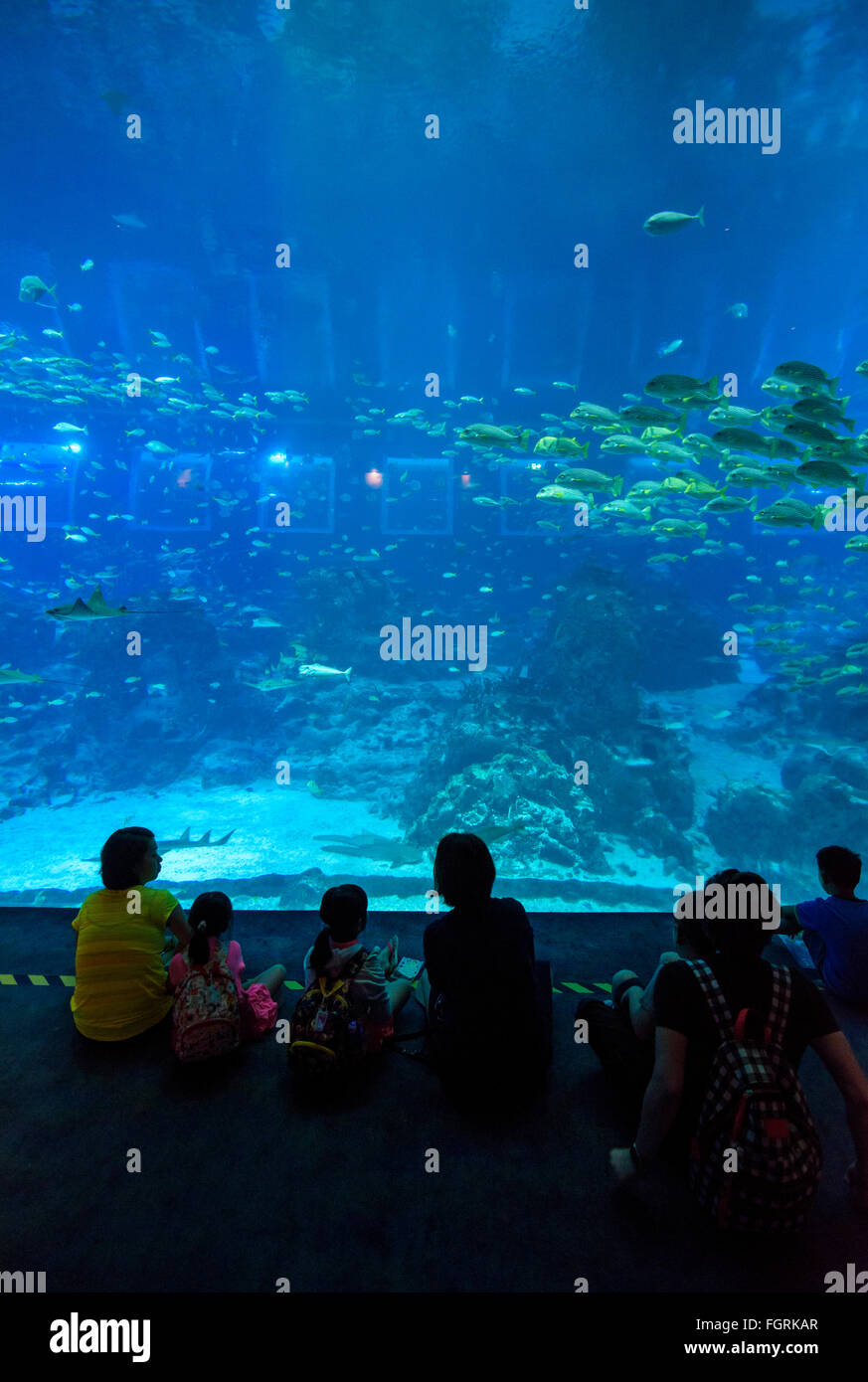 Besucher dieser Seite von Meereslebewesen in den offenen Ozean Lebensraum Tank an die S.E.A Aquarium, Sentosa Island, Singapur Stockfoto