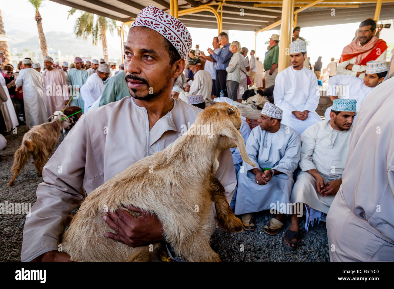 Der Freitag Vieh Markt, Nizwa, Ad Dakhiliyah Region, Oman Stockfoto