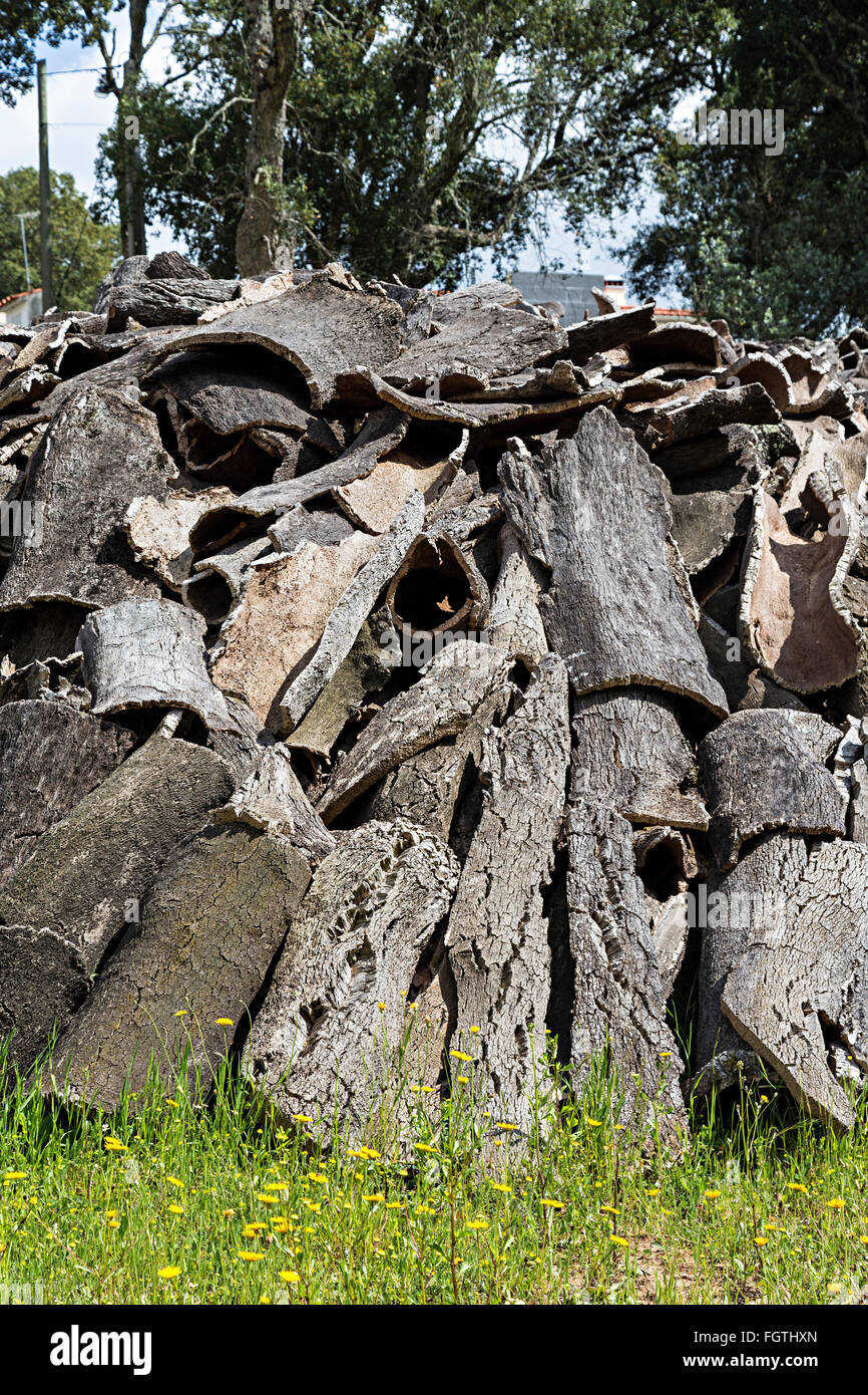 Kork Eiche Ernte, Monchique, Algarve, Portugal Stockfoto