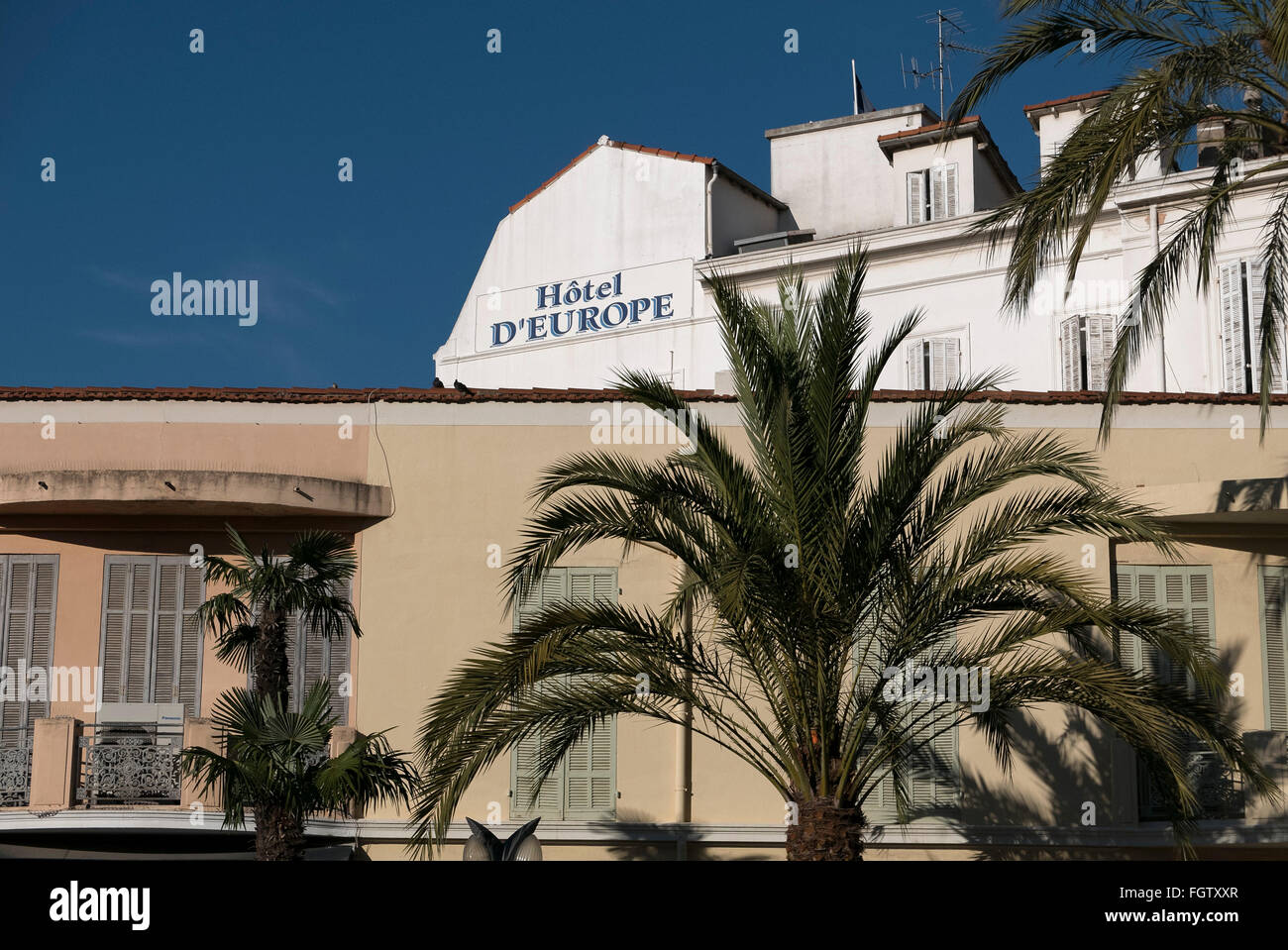 Eindruck mit Palme, Saint-Raphaël, Abt. Var, Côte d ' Azur, Frankreich Stockfoto