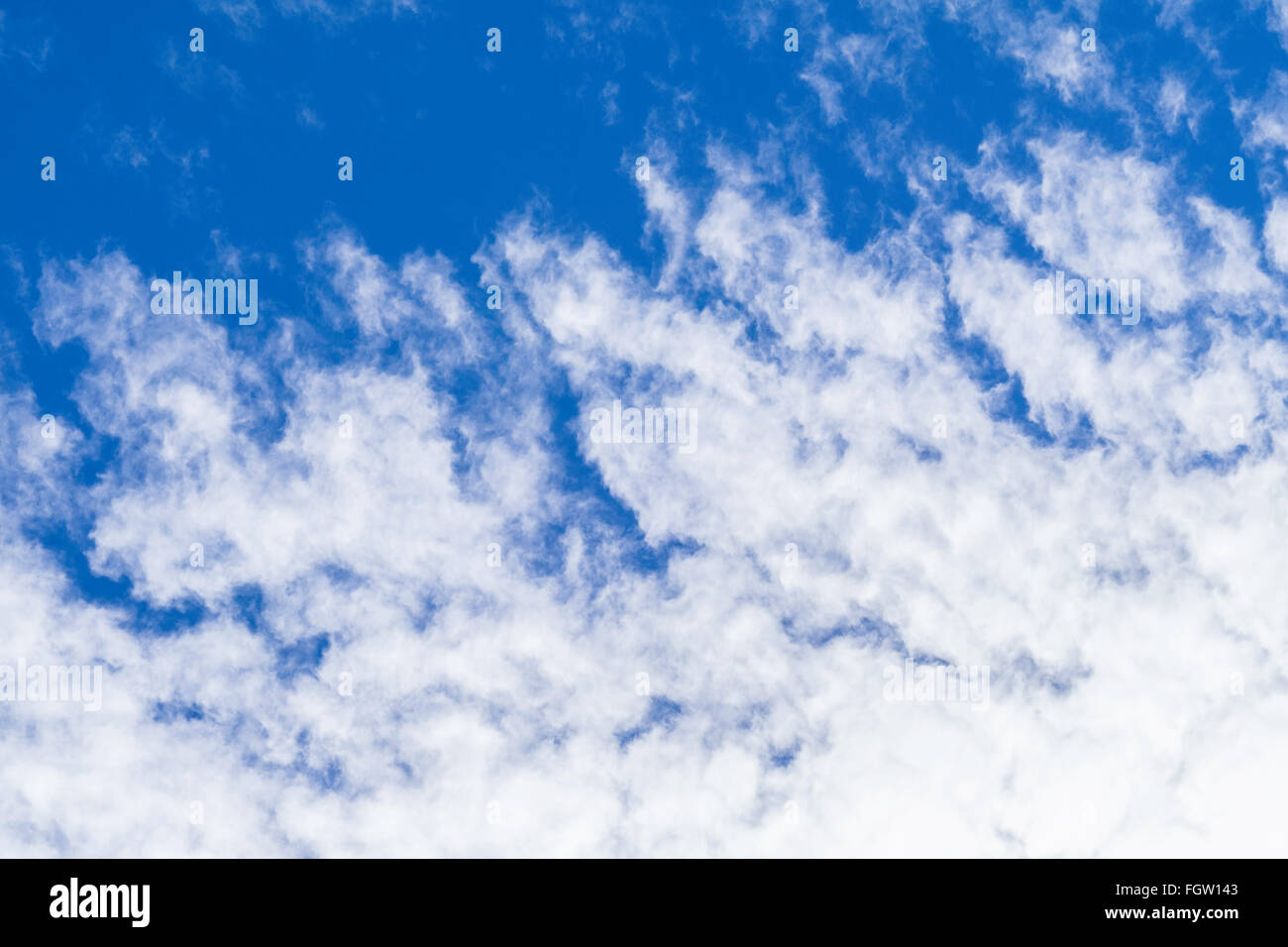 Altocumulus-Wolken vor blauem Himmel im Spätwinter an einem warmen Tag. Stockfoto