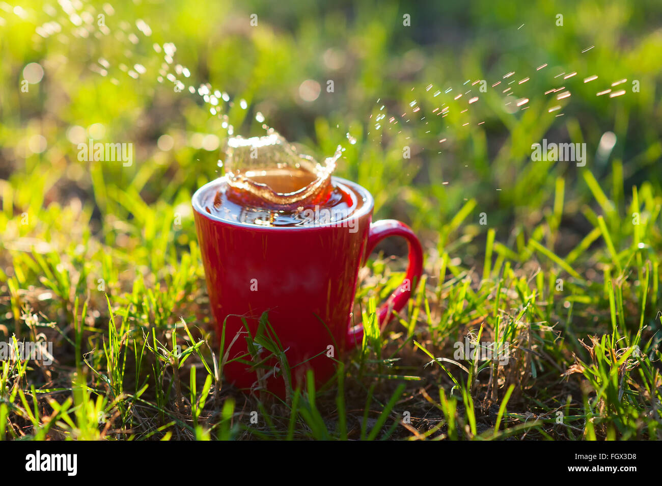 Rote Tasse Tee auf einem Hintergrund von Rasen im park Stockfoto