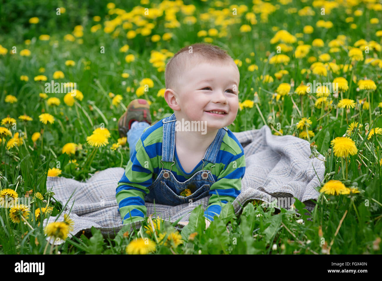 Glückliche kleine Junge liegend auf einer Decke auf einer Wiese im Frühling Stockfoto