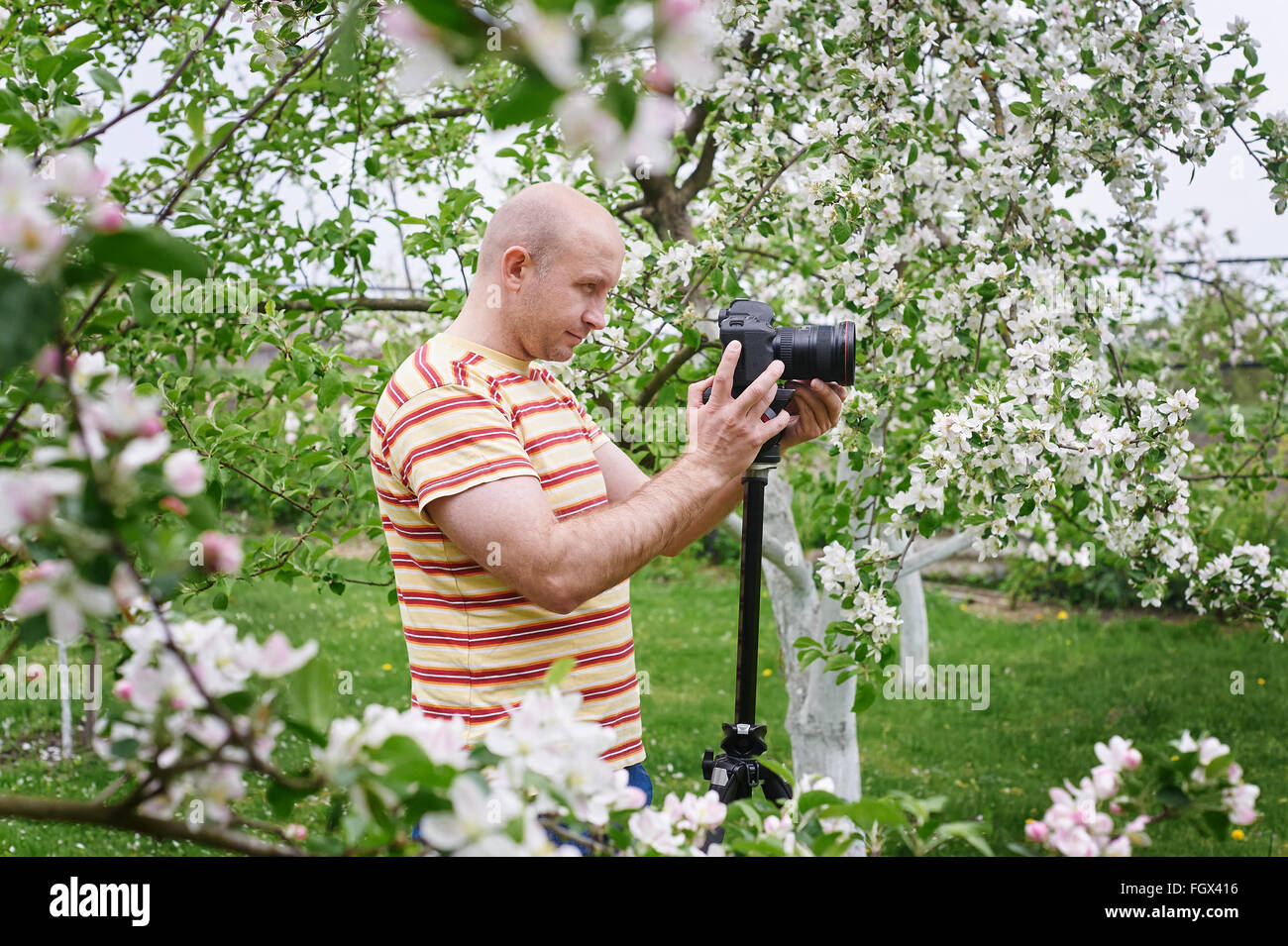 Mann-Shooting bei der Kamera in einem blühenden Frühlingsgarten Stockfoto
