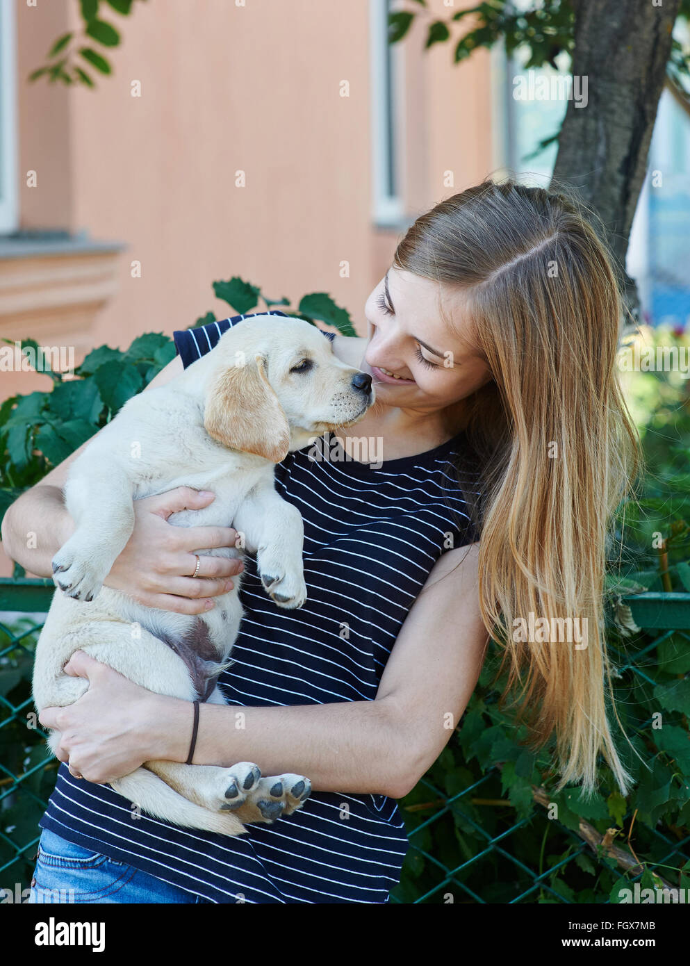 Frau hält eine Welpen Hunderasse Labrador Stockfoto
