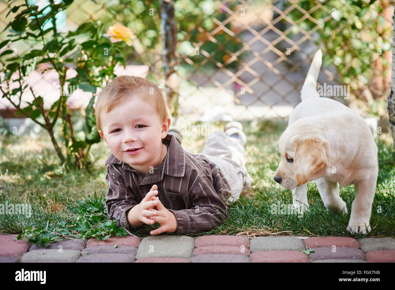 kleiner Junge spielt mit einem weißen Labrador-Welpe Stockfoto