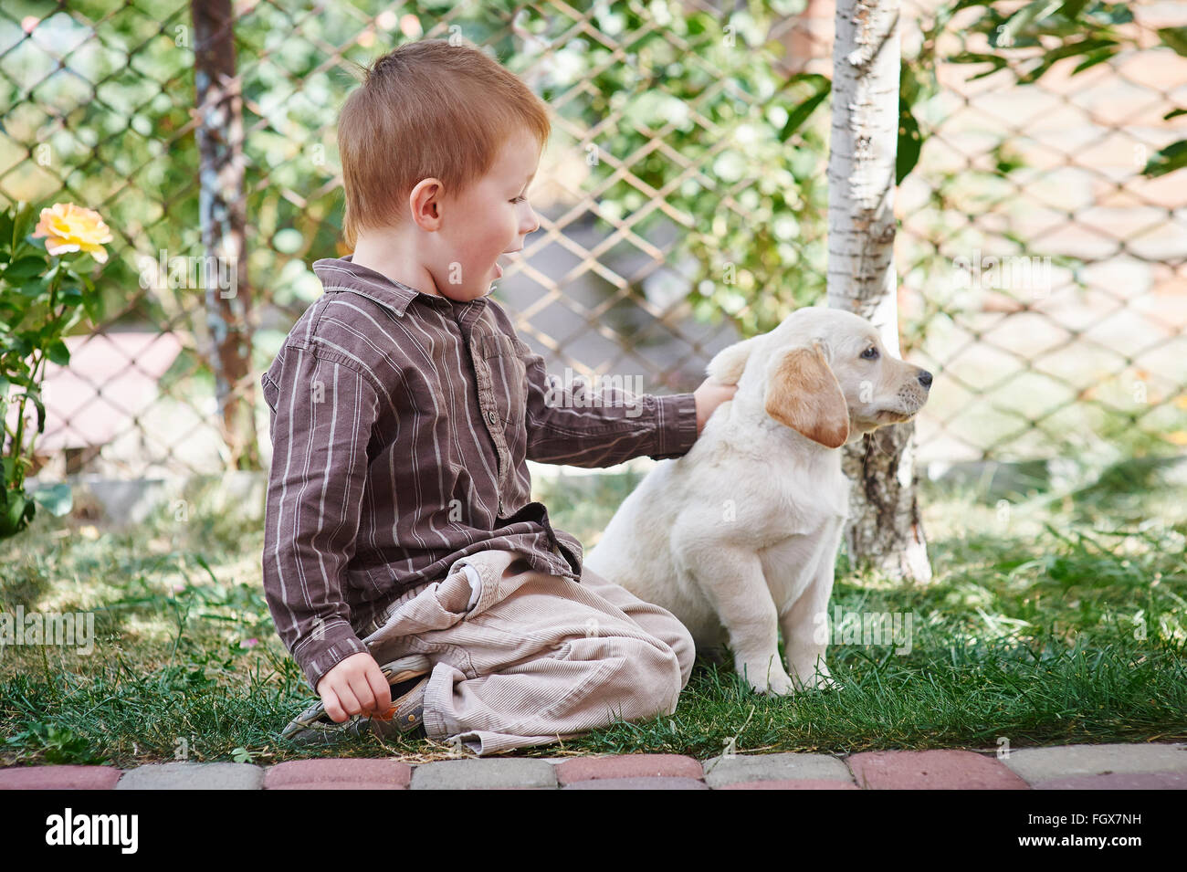 kleiner Junge spielt mit einem weißen Labrador-Welpe Stockfoto