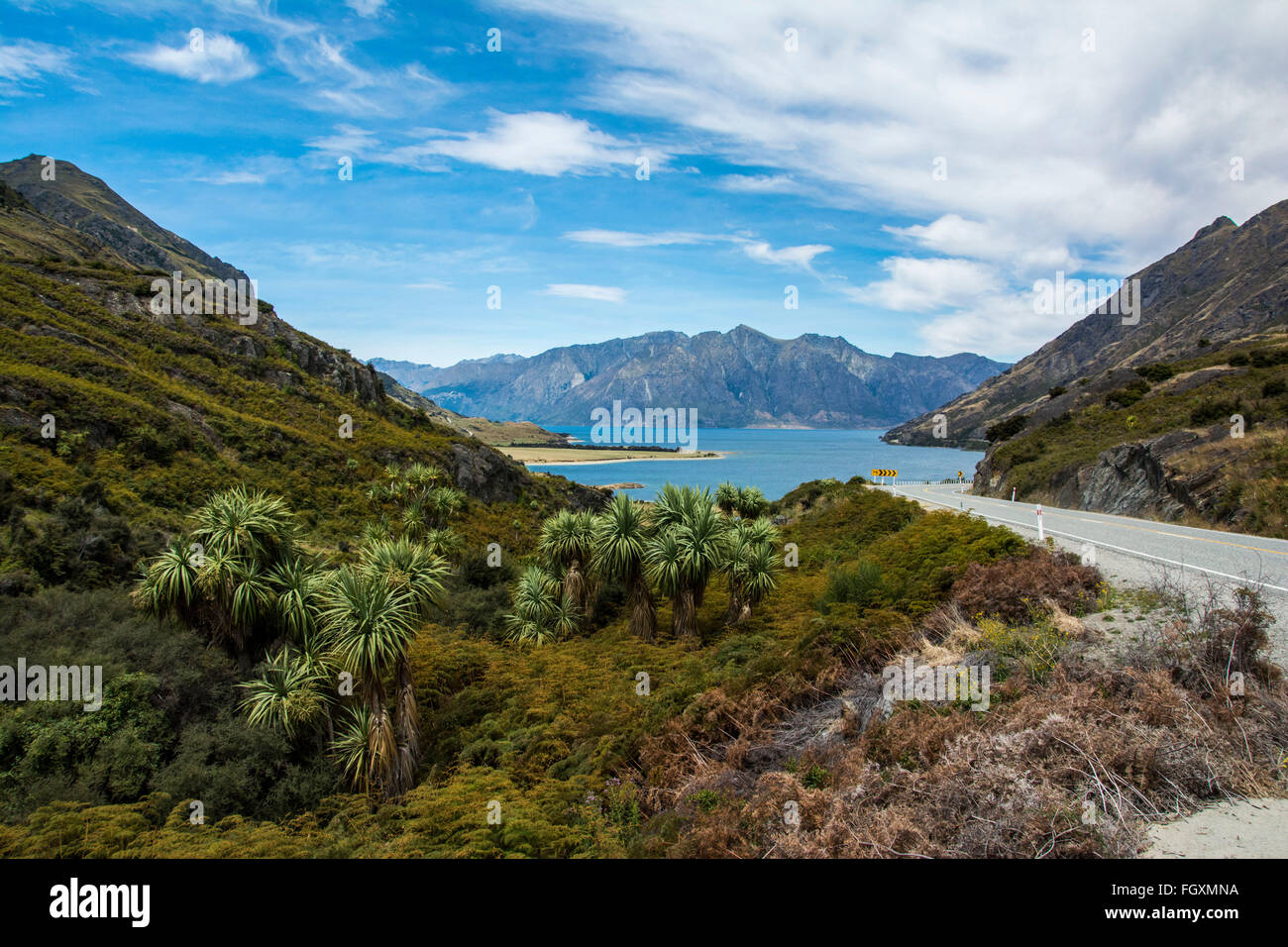 Neuseeland Reise: Haast Pass Highway nach Wanaka Stockfoto