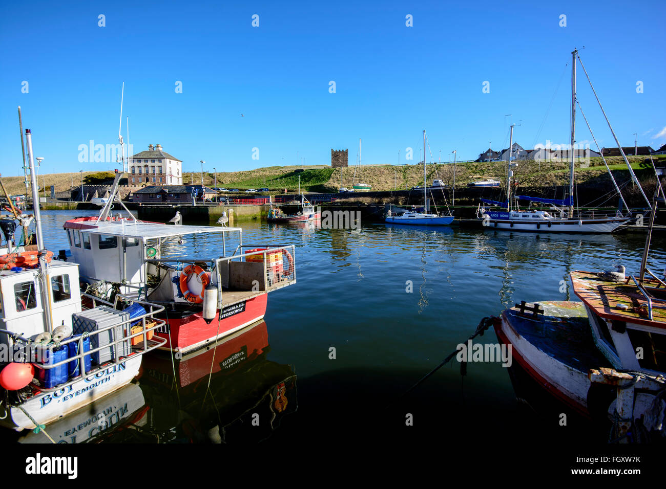 Eyemouth Hafen Stockfoto