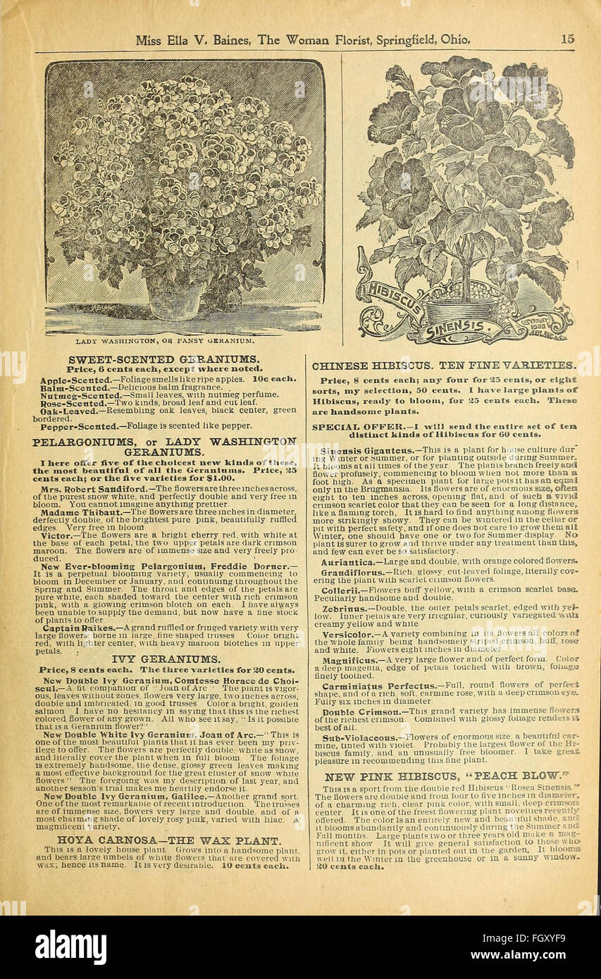 Dieser Leitfaden bietet praktische Tipps und Ideen, wie Sie die ästhetische Attraktivität von Häusern durch Inneneinrichtung, Design und den Einsatz verschiedener Strategien zur Verbesserung von Häusern verbessern können. Stockfoto