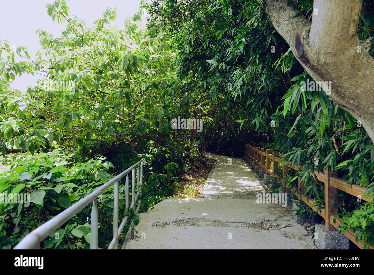 Gehweg in Taiwan Stockfoto