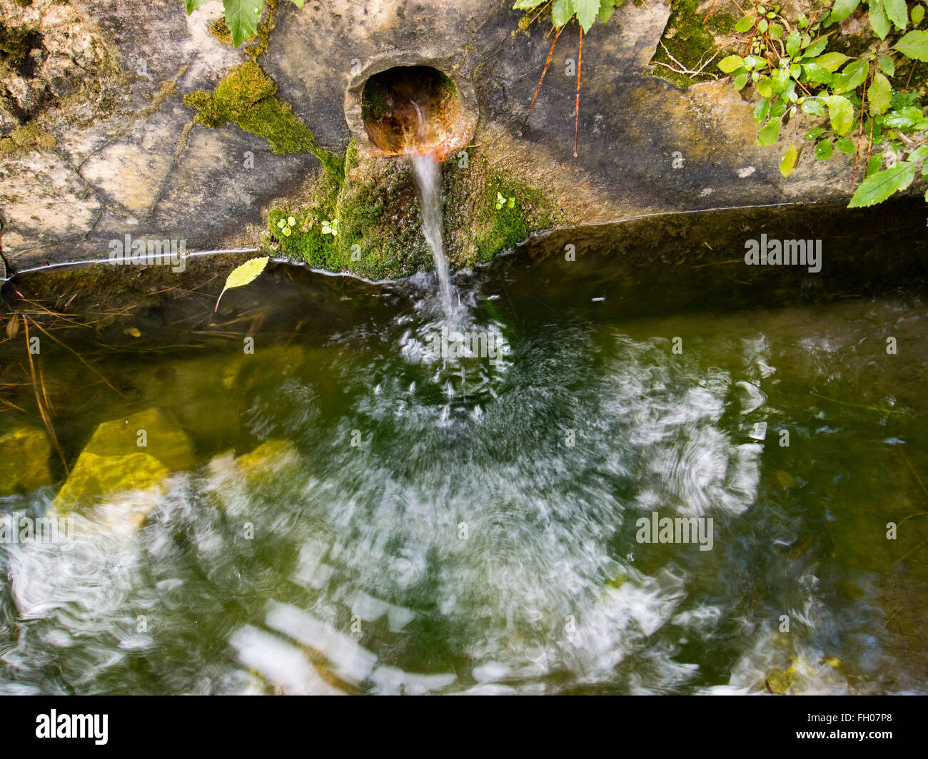Süßwasser-Quelle bei Jarapalos, Naturpark der Sierra de Mijas. Provinz Malaga, Costa del Sol Andalusien Südspanien Stockfoto