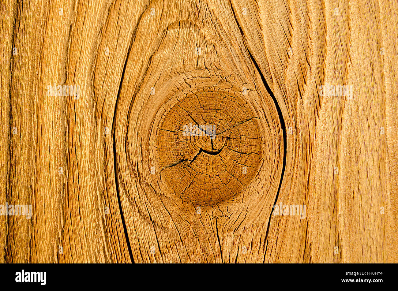 Wetter getragen Zaun Boad mit groben Maserung und Knoten. Stockfoto