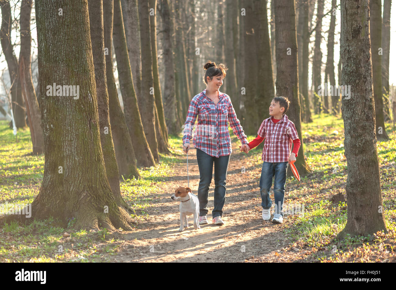 Sohn und Mutter mit Hund im park Stockfoto