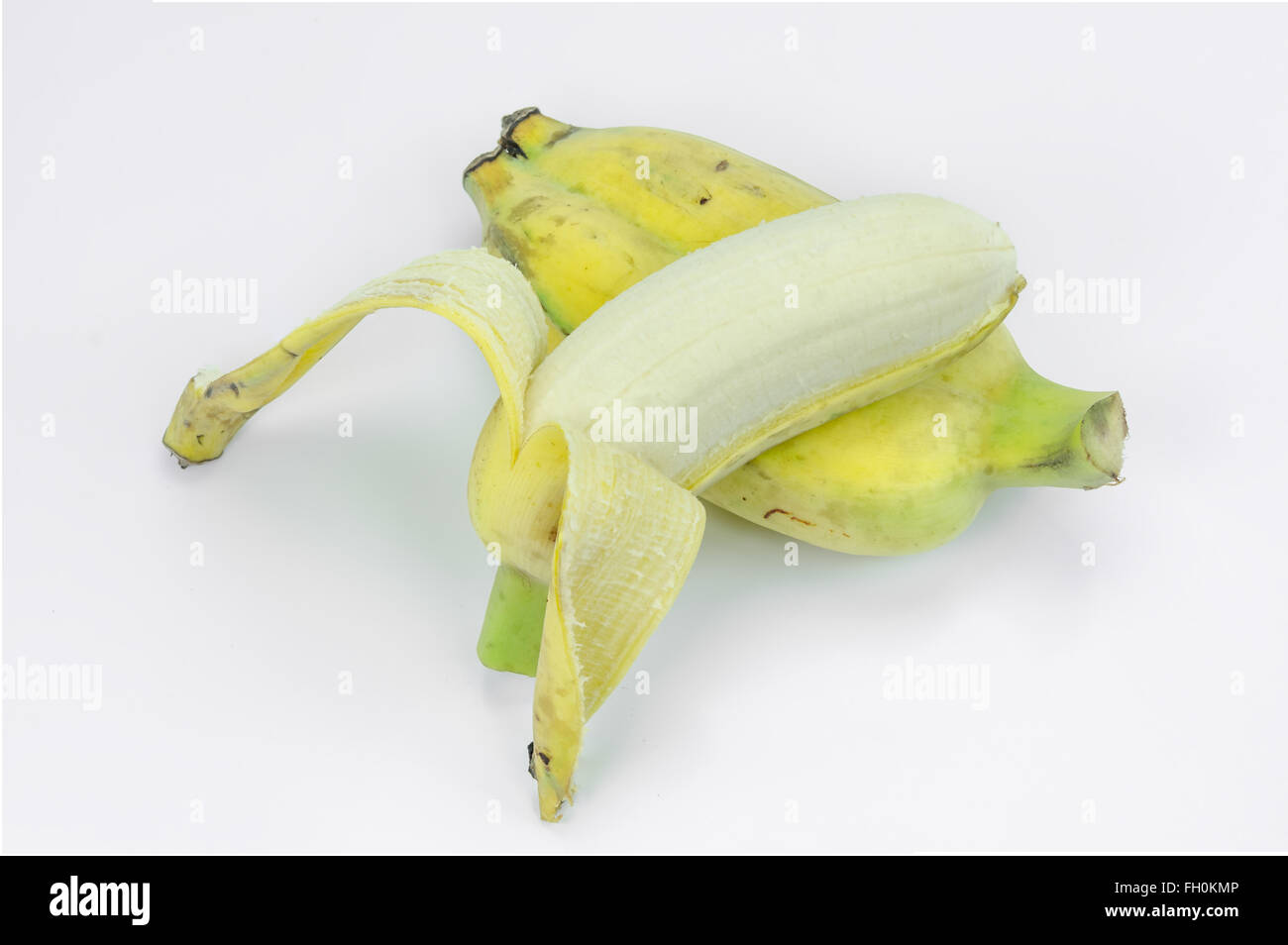 Pisang Awak Banane, Kluai-Nam-Wa, Cultivate Banane auf weißem Hintergrund. Stockfoto