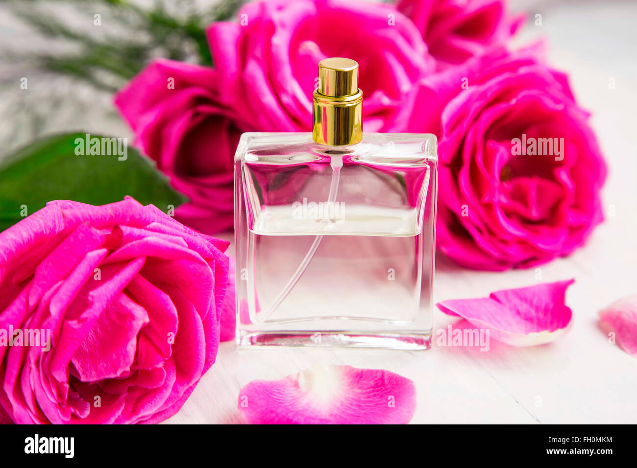 schön Flasche von Damen Parfüm oder Eau de Parfum gegen ein Hintergrund von  ein Rosa Chiffon Schal und frisch Rosen. Präsentation von das Duft.  24081348 Stock-Photo bei Vecteezy