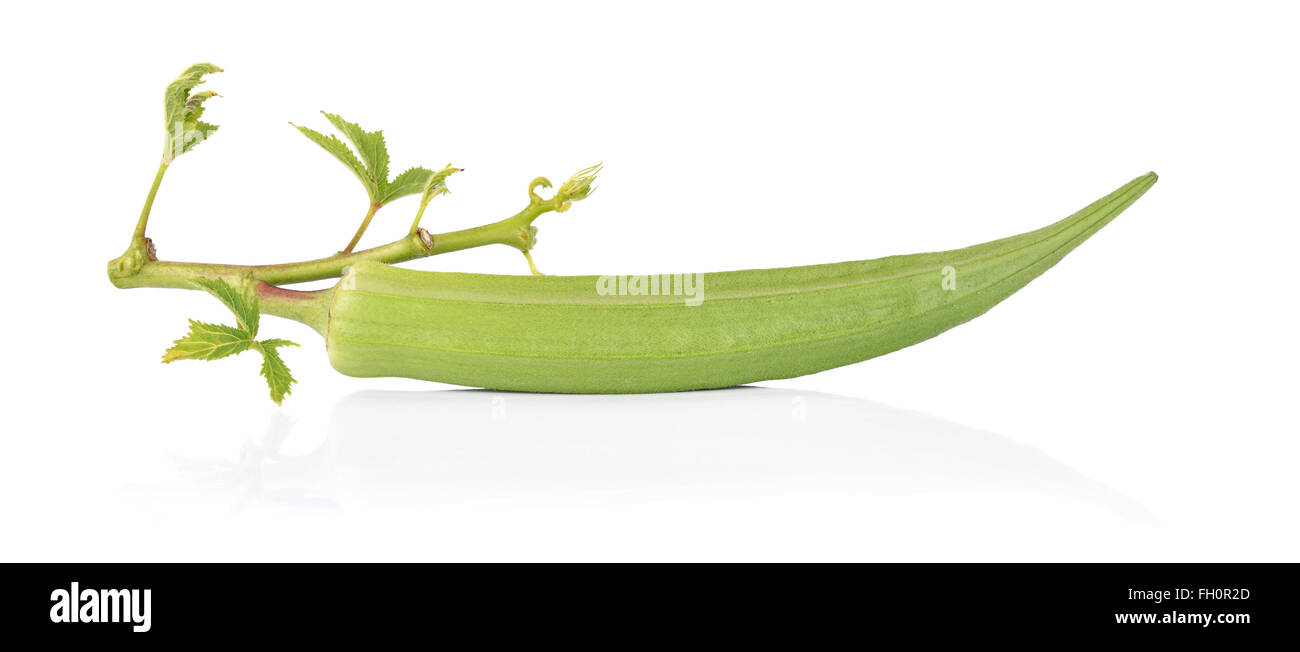 frische Okra auf weißem Hintergrund Stockfoto