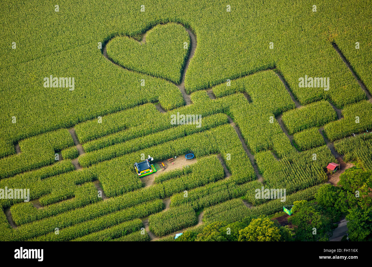 Labyrinth mit Herz im Maisfeld, Maislabyrinth, grünes Herz, Herzform, Herz geformt, Herten, Ruhrgebiet Stockfoto