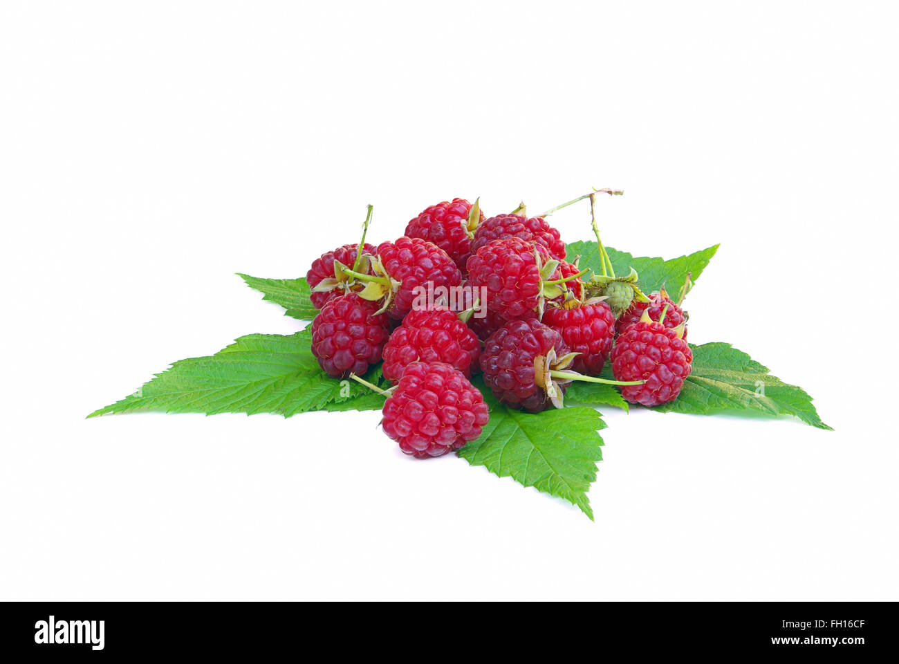 Himbeere - Himbeere 17 Stockfoto