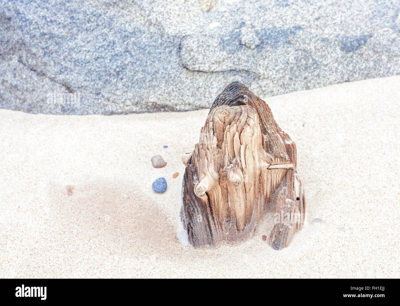 Holz und Stein auf Sand, abstrakte Natur Hintergrund, geringe Schärfentiefe. Stockfoto