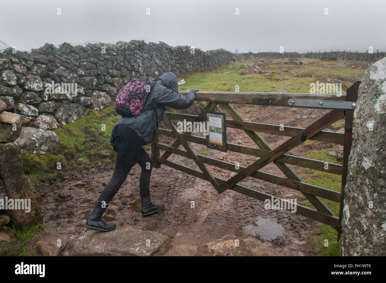 Eine Frau drückt ein Tor geöffnet auf Dartmoor an einem windigen Tag Stockfoto
