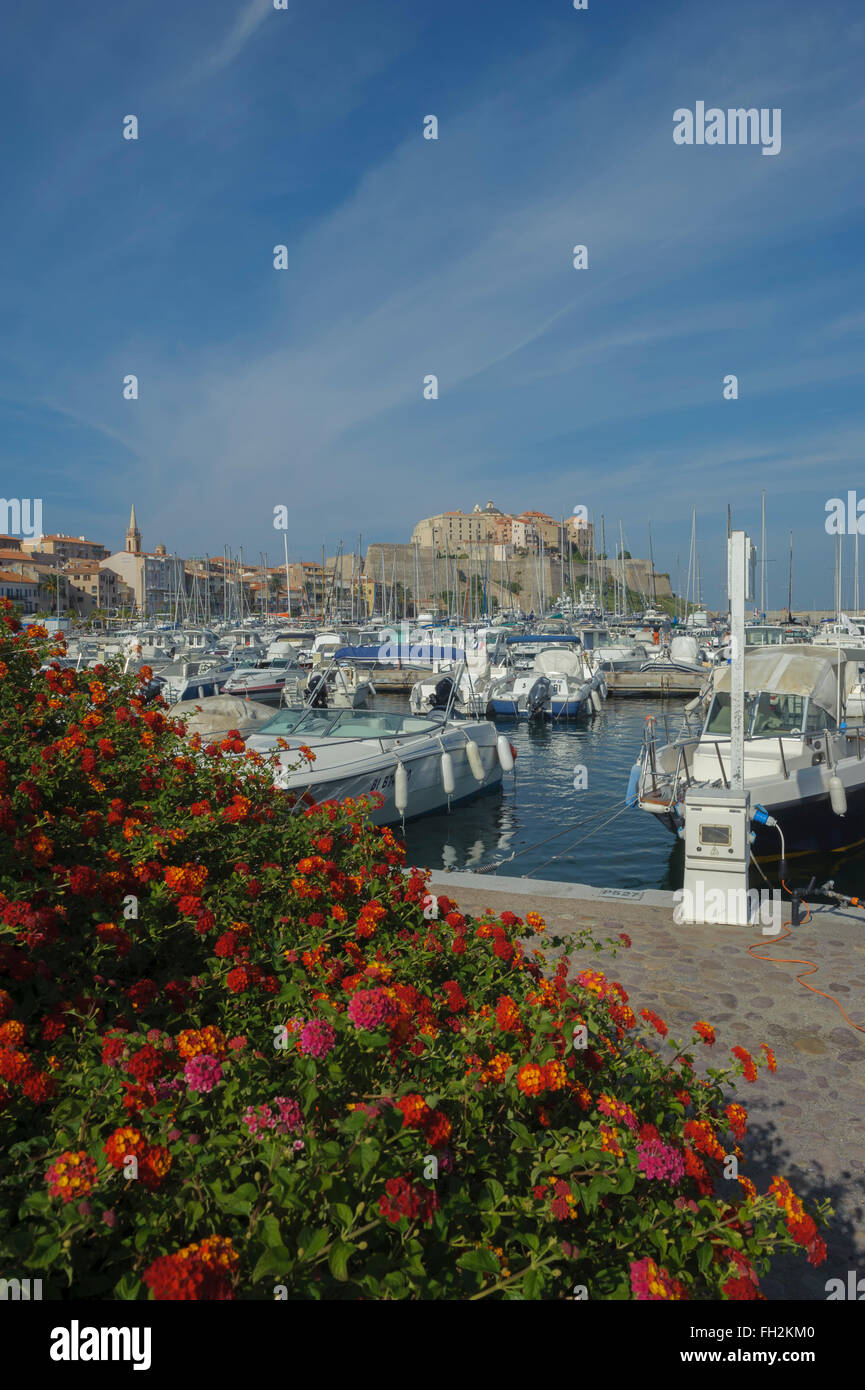 Blick über den Hafen und die Zitadelle. Calvi. Korsika. Frankreich. Europa Stockfoto