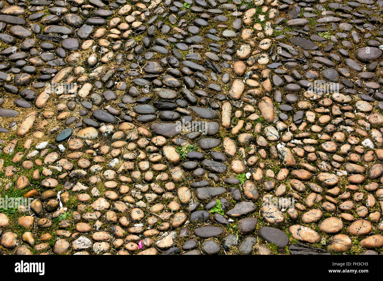 Alten Waterfront farbige Pflastersteine Detail, Bayard Bucht Quay, Dartmouth, Devon. Stockfoto