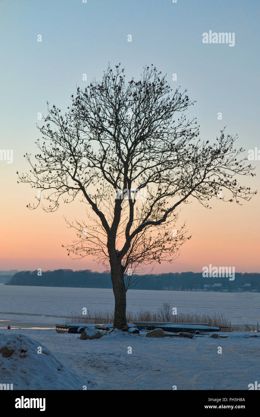 Sonnenuntergang über einem zugefrorenen See in Skanderborg, Dänemark Stockfoto