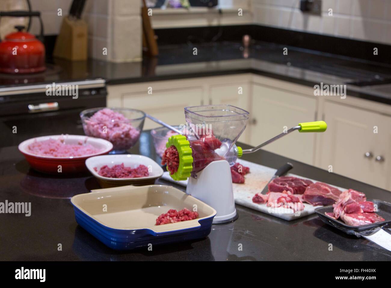 Gefrierschrank-Tag, wenn das Haus kochen, bereitet Chargen von gehacktem Fleisch von verschiedenen Arten die Familie Tiefkühltruhe füllen Stockfoto