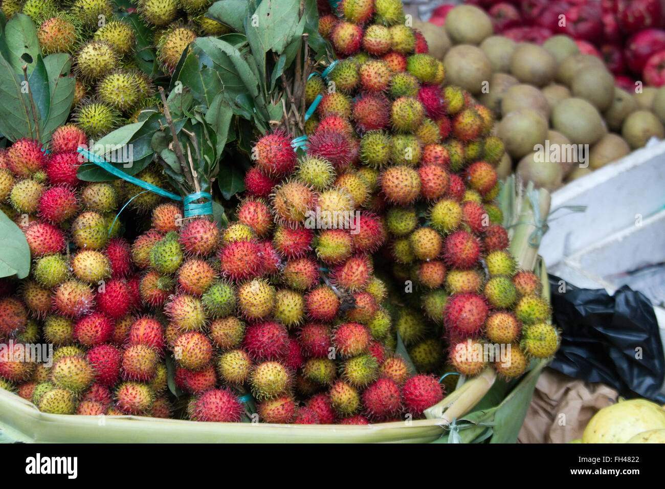 Rambutan Früchte (Nephelium Lappaceum) vor allem in Malaysia und Indonesien angebaut Stockfoto