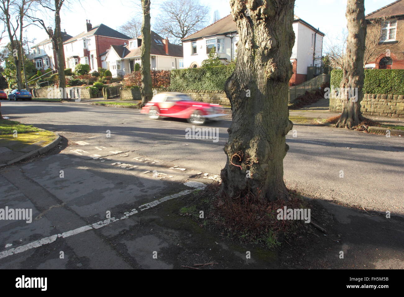 Ein Baum wächst in der Mitte einer Kreuzung an einem Baum gesäumten Straße im Nether Edge, einem grünen Vorort von Sheffield Yorkshire UK Stockfoto