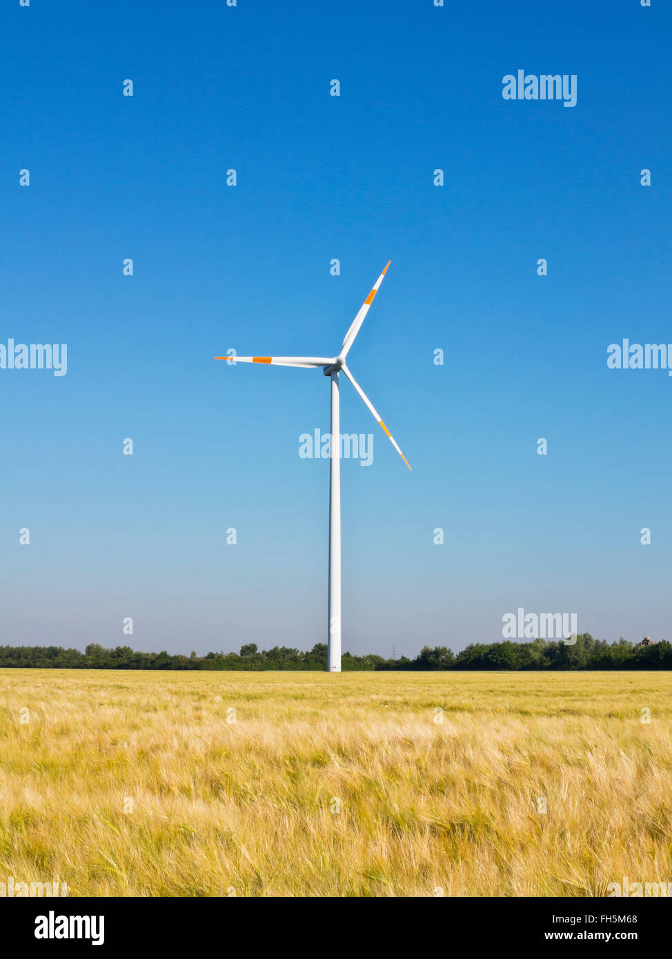 Windturbine mit Weizenfeld im Vordergrund, Deutschland Stockfoto