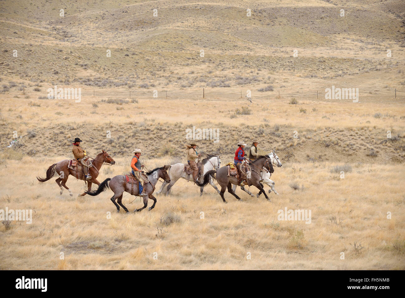 Cowboys und Cowgirls Reiten in der Wildnis, Rocky Mountains, Wyoming, USA Stockfoto