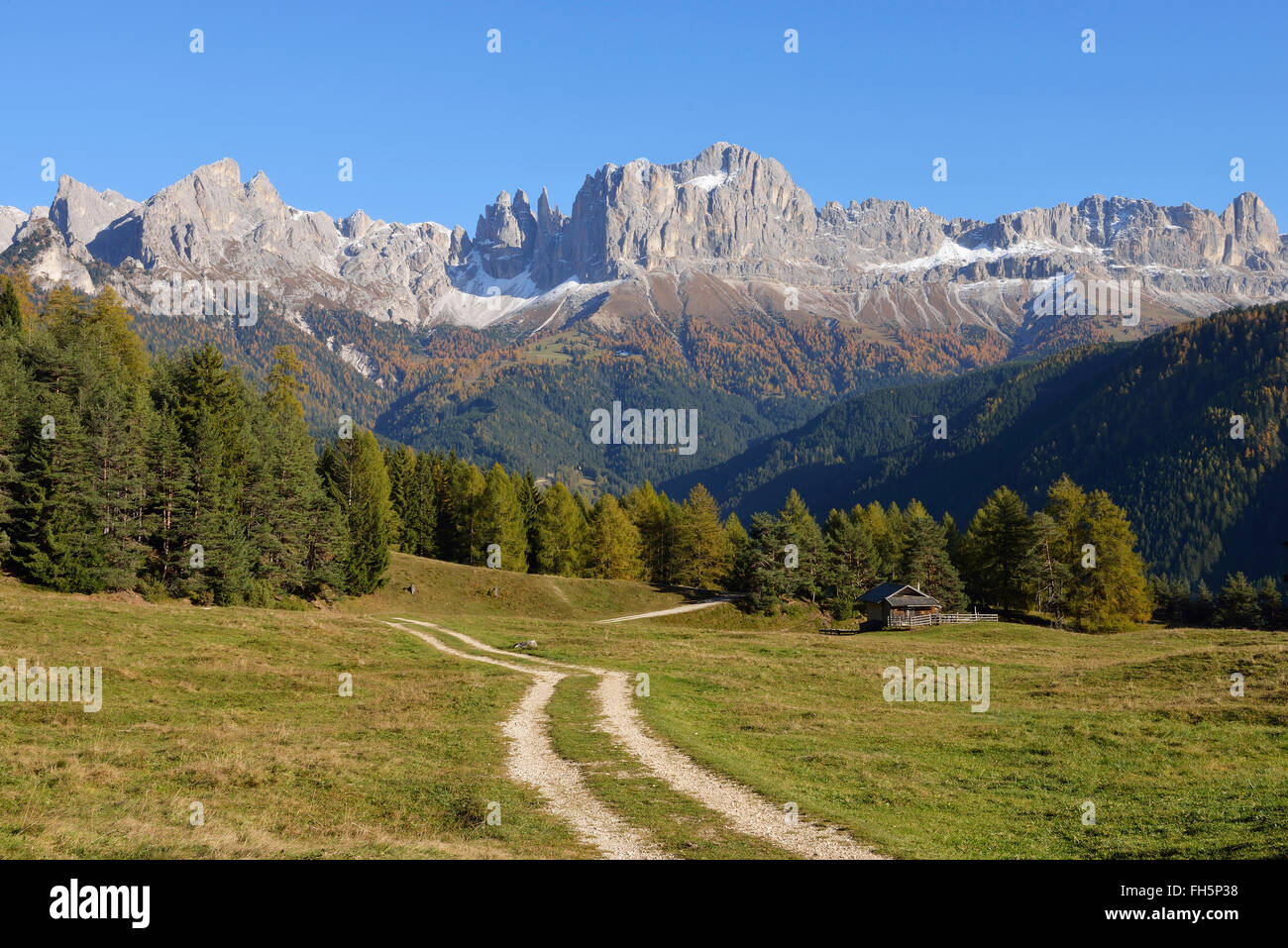Verfolgen Sie in Rosengarten (Rosengarten) Berge, Wuhnleger Bereich, Tierser Tal, Südtirol, Trentino-Alto Adige, Dolomiten, Italien Stockfoto