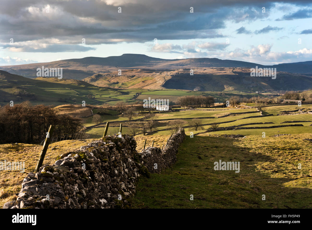 Ingleborough Hill in den Yorkshire Dales National Park, gesehen von Winskill Steinen in der Nähe von Settle, UK Stockfoto