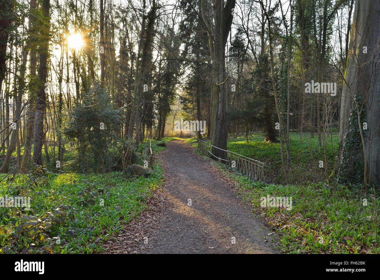 Kies Weg durch den Park mit Sonne im Vorfrühling, Kleinheubach, Churfranken, Spessart, Bayern, Deutschland Stockfoto