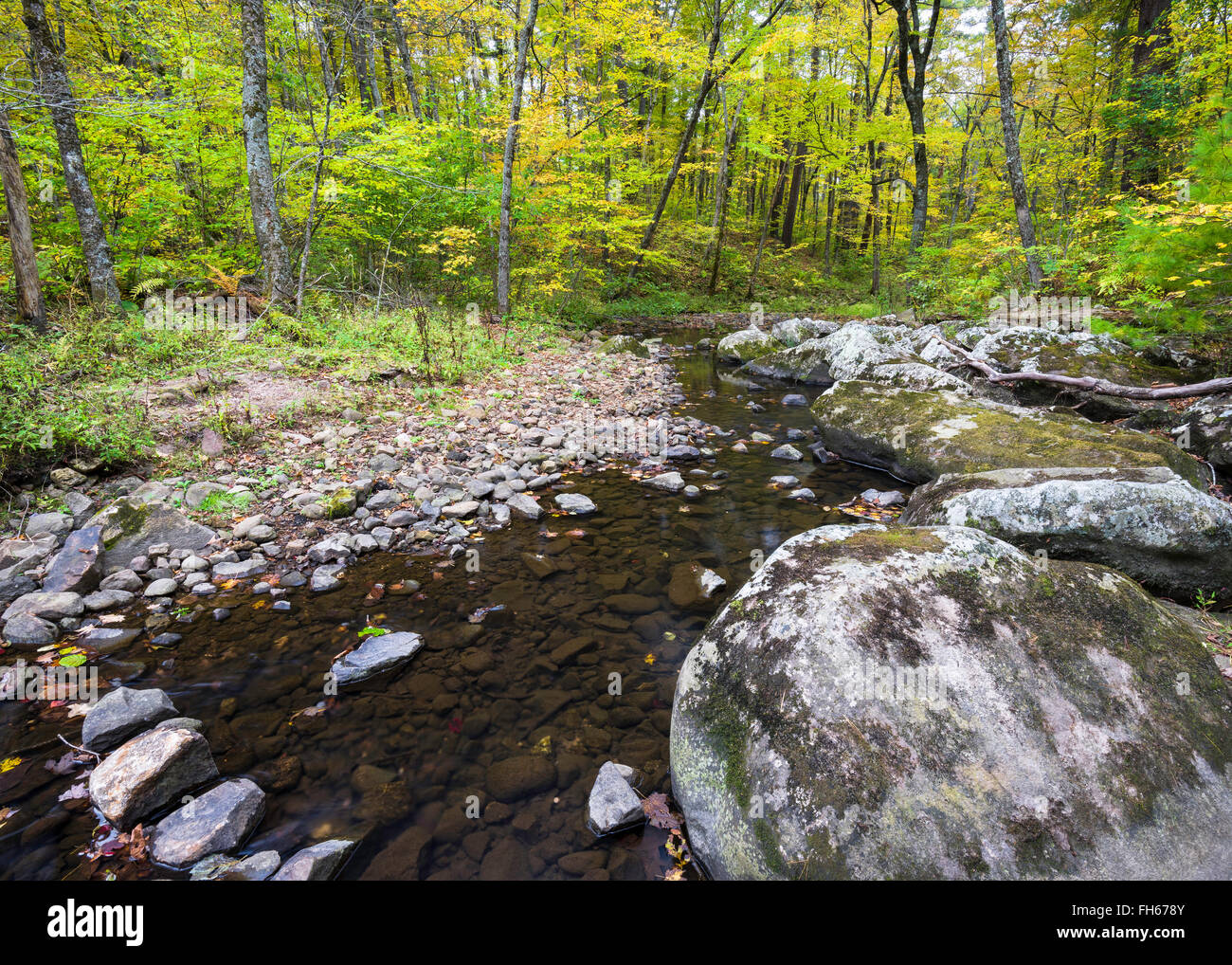 Otter Creek schlängelt durch die Herbstfarben von Baxters Hollow State Natural Area, Wisconsin, USA. Stockfoto